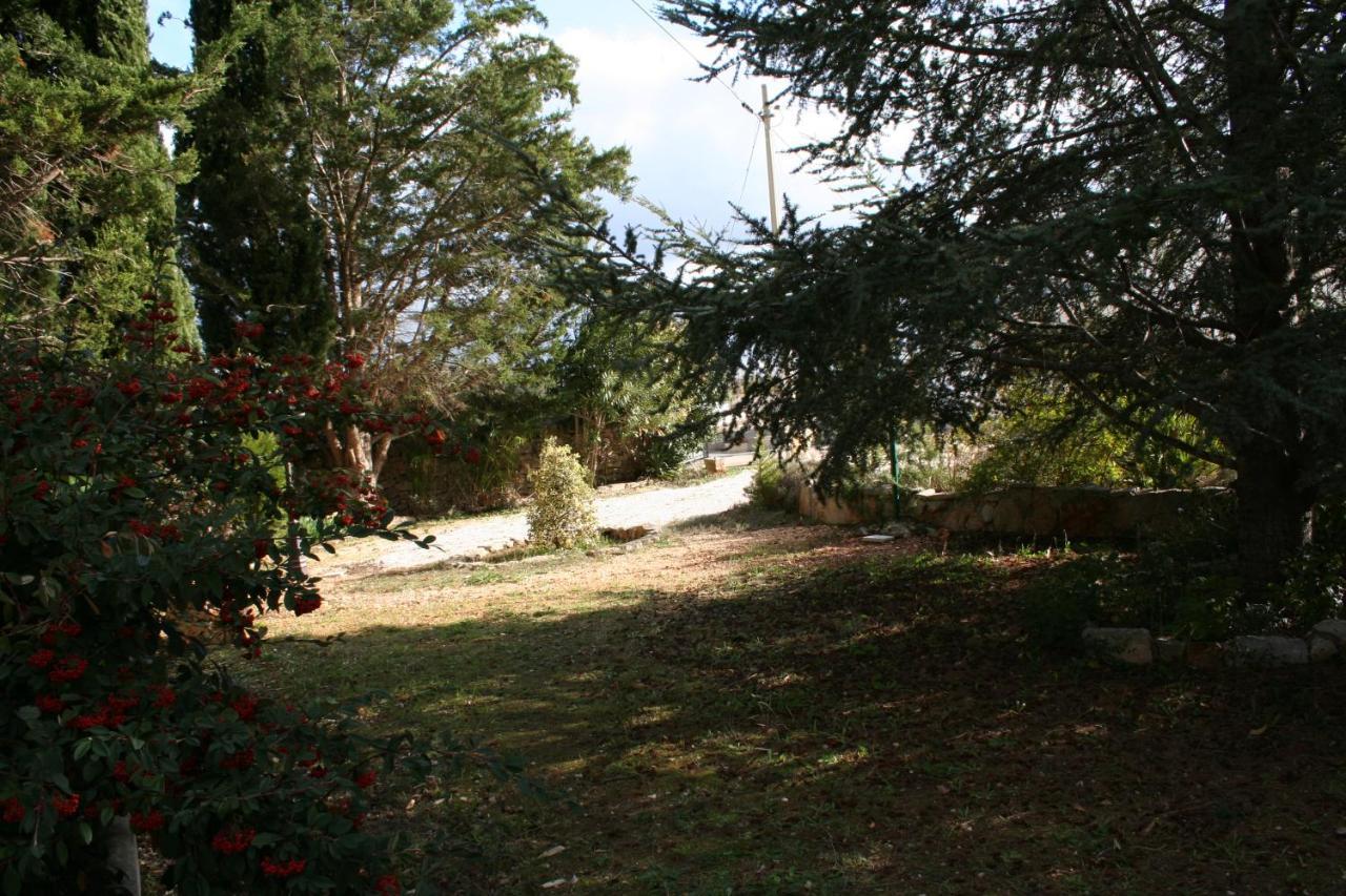Casa Vacanza I Cedri มาร์ตินาฟรังกา ภายนอก รูปภาพ