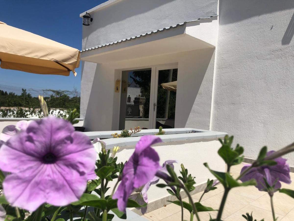 Casa Vacanza I Cedri มาร์ตินาฟรังกา ภายนอก รูปภาพ